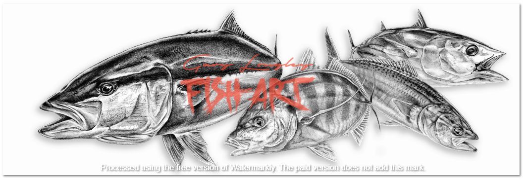 Decals Kingfish Plus