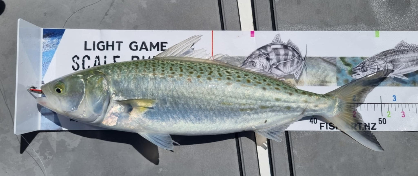 Scale Ruler - Light Game