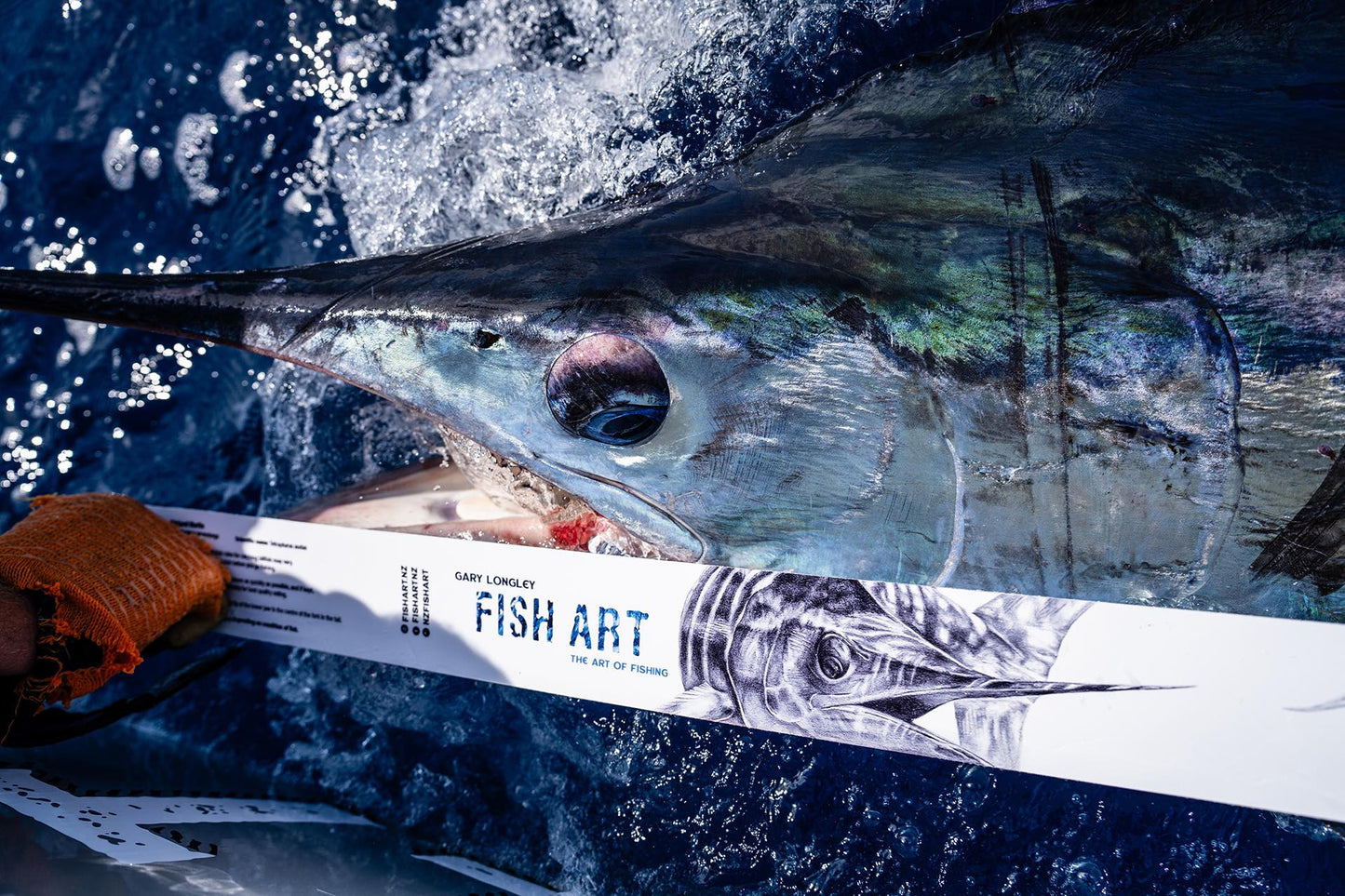 Scale Ruler - Striped Marlin