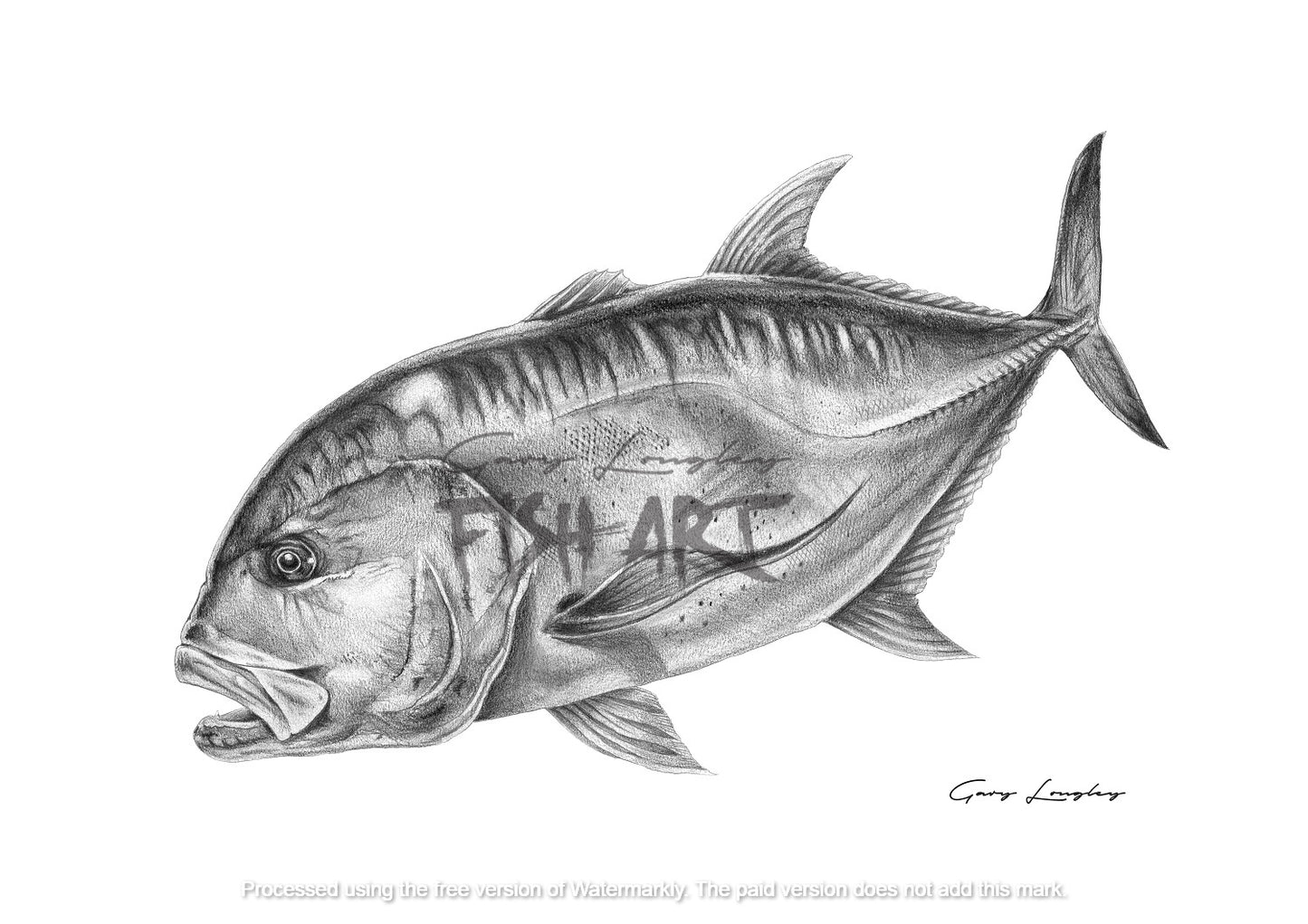 Giant Trevally