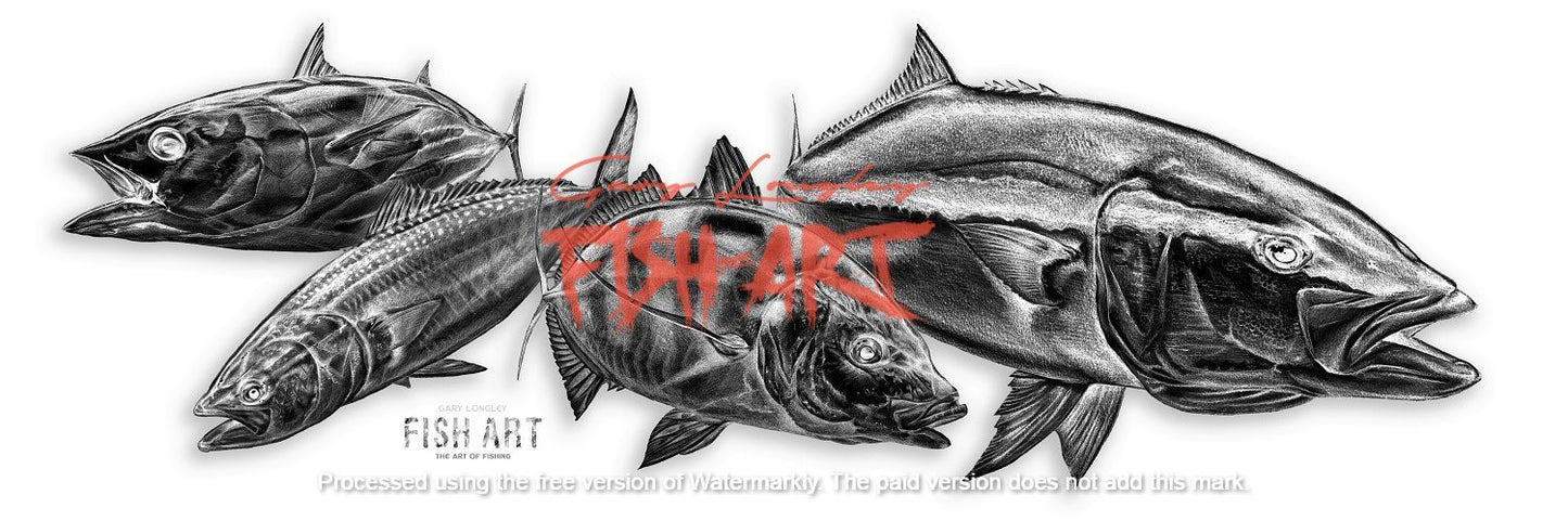 Decals Kingfish Plus