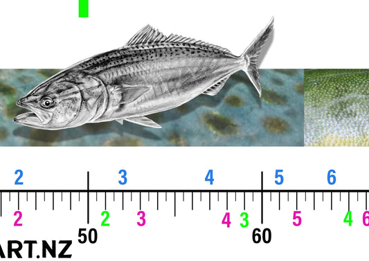 Scale Ruler - Light Game