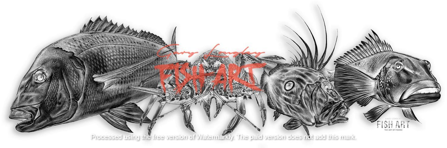 Decals - Snapper Plus