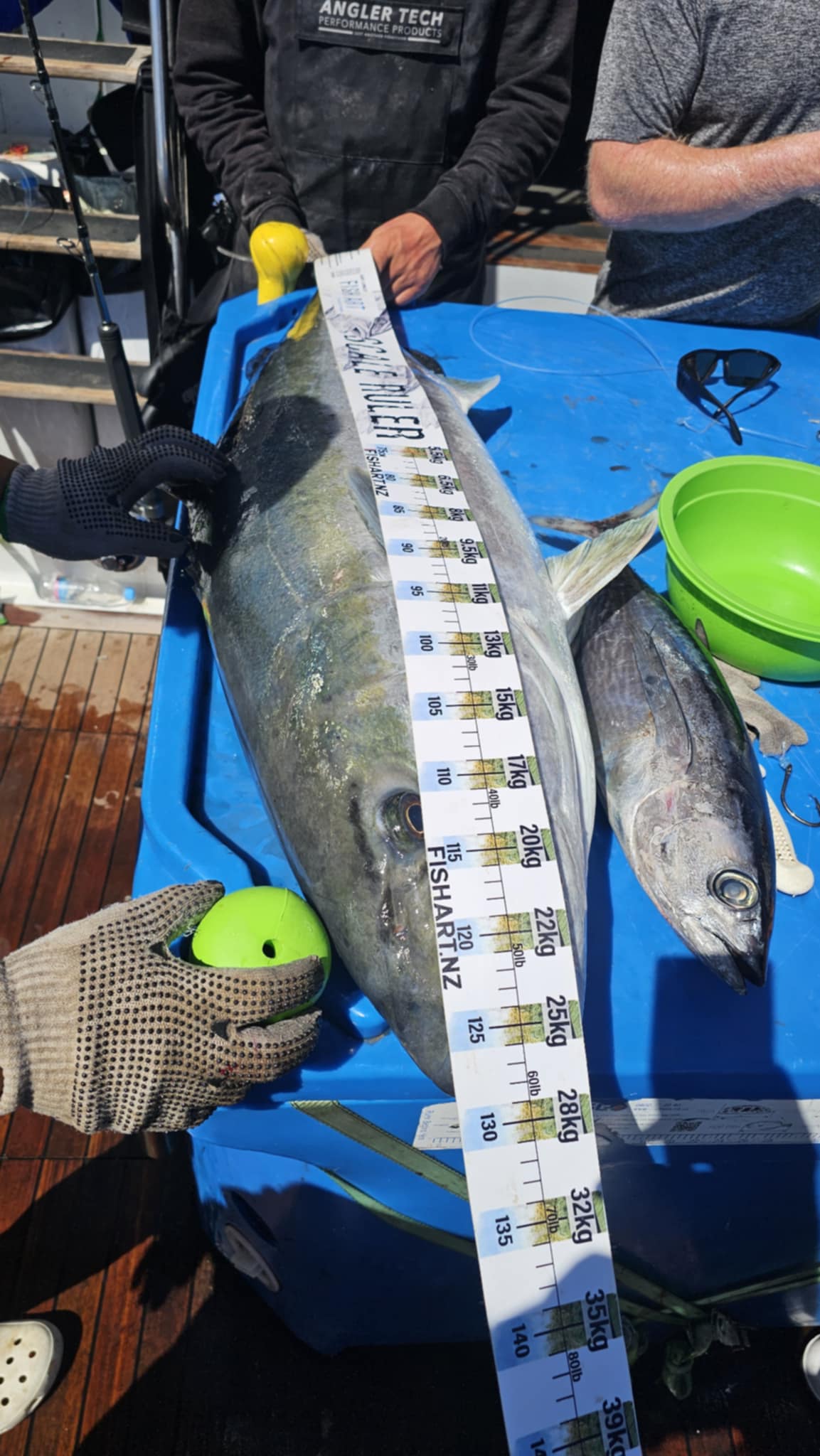 Scale Ruler - Kingfish