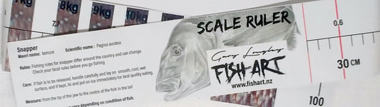Scale Ruler Decal - Snapper