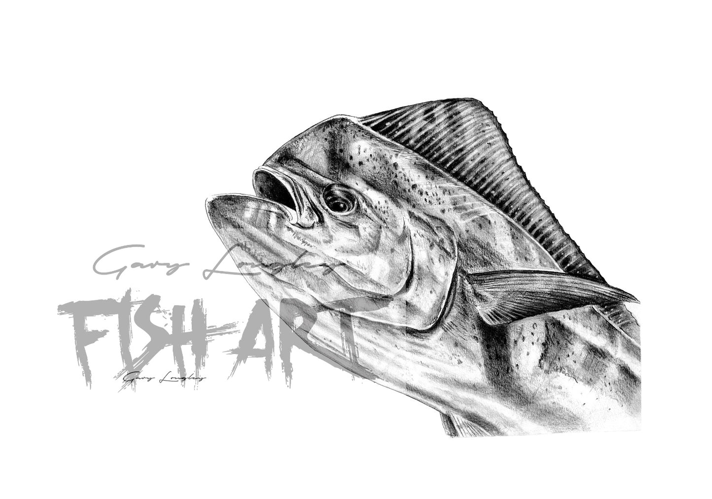 Mahimahi