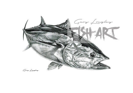 Southern Bluefin Tuna