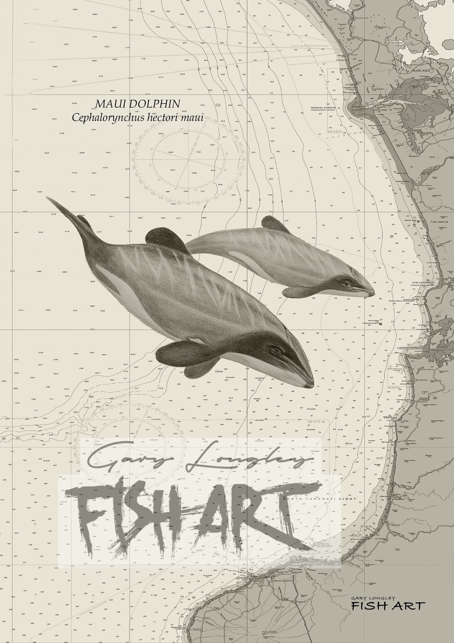 Maui Dolphins on West Coast - LIMITED EDITION 21 ONLY