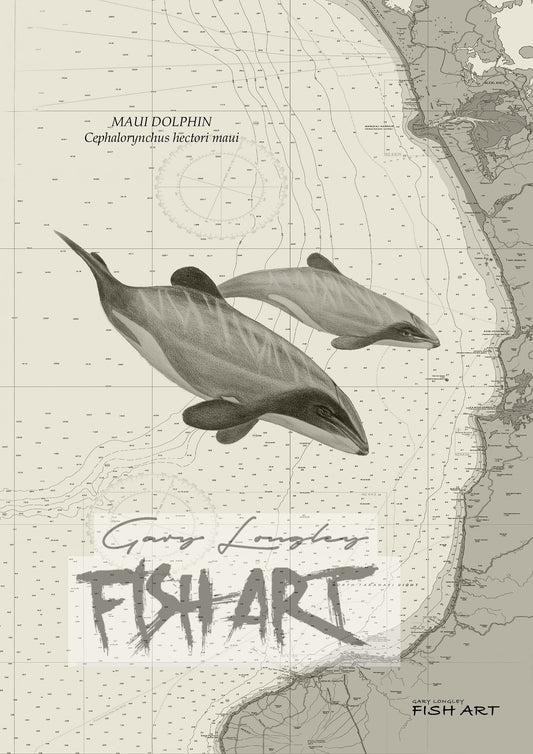 Maui Dolphins on West Coast - LIMITED EDITION 21 ONLY