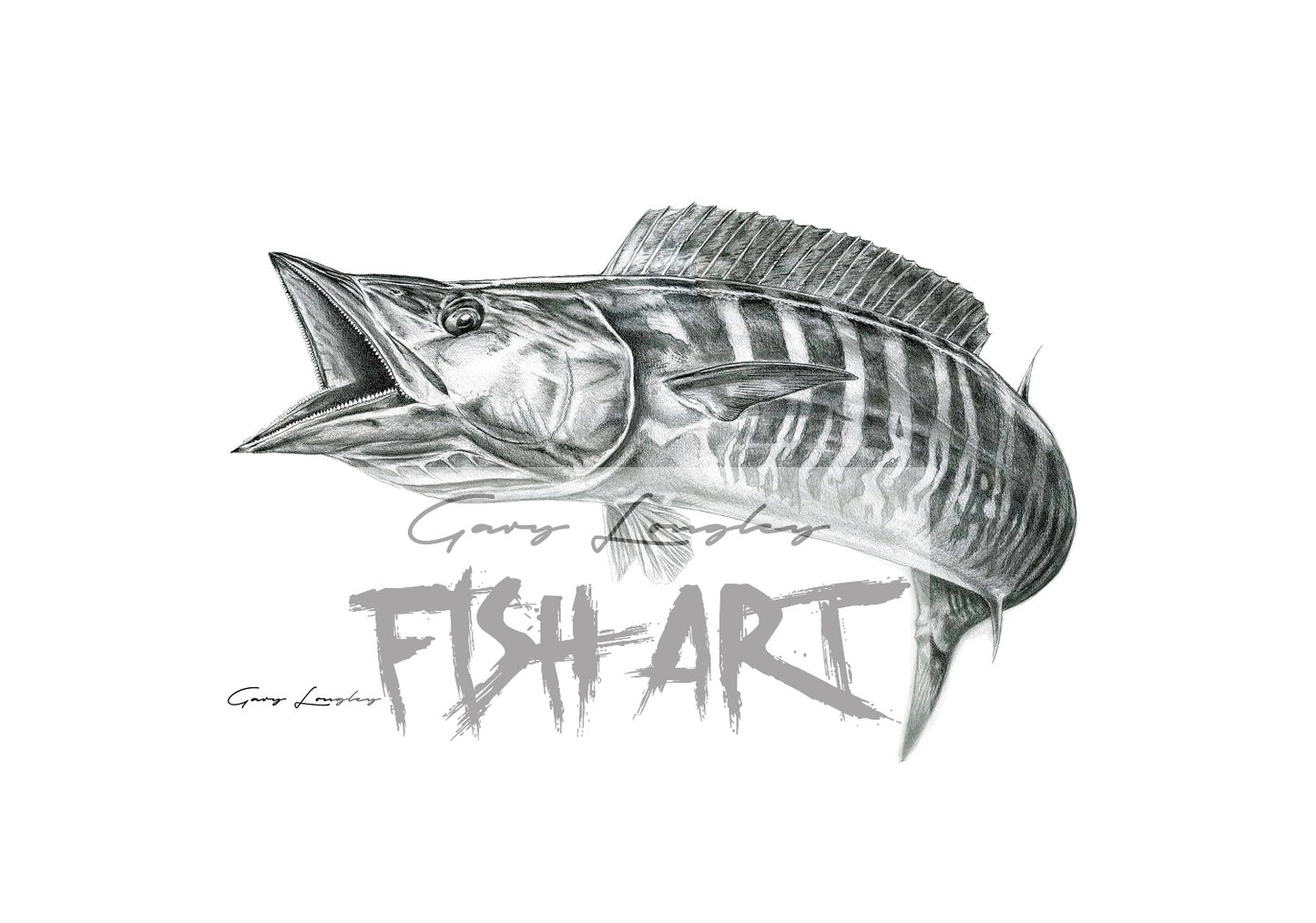 Wahoo