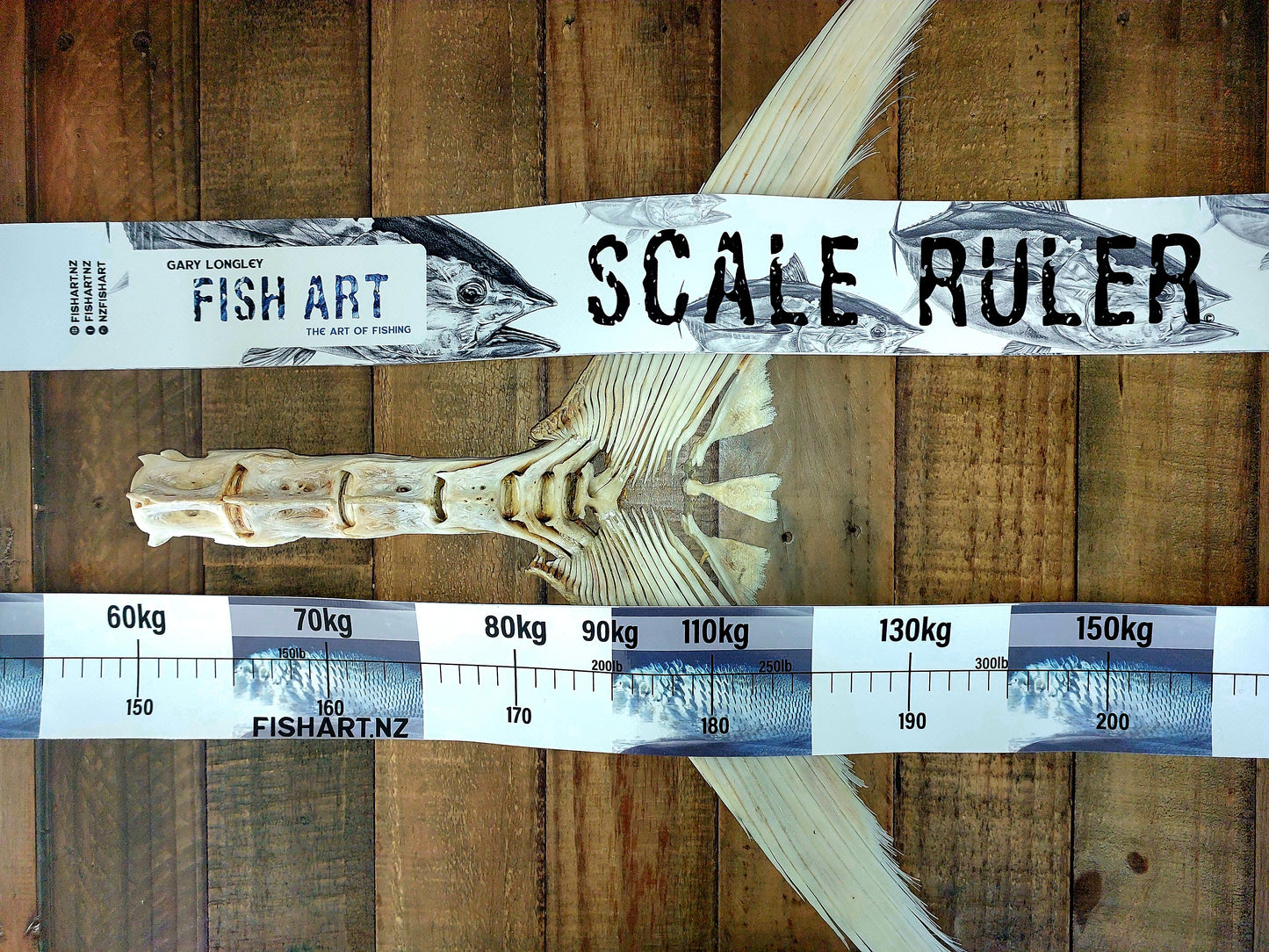 Scale Ruler - Southern Bluefin Tuna