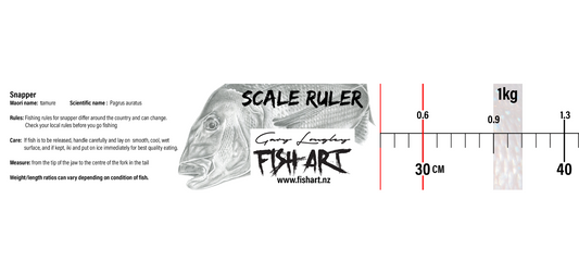 Scale Ruler - Snapper - HD Vinyl Sticker