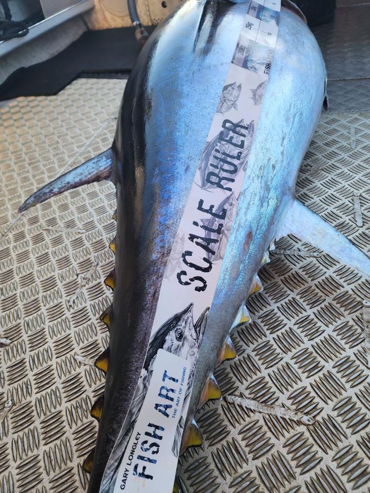 Scale Ruler - Southern Bluefin Tuna