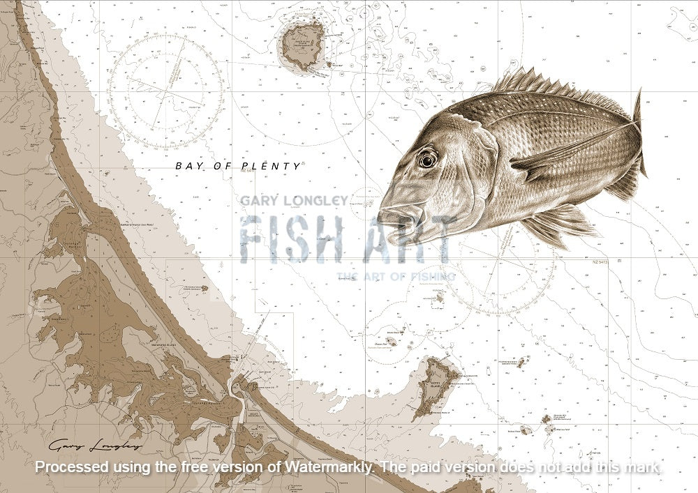 Ready Made Fish & Chart