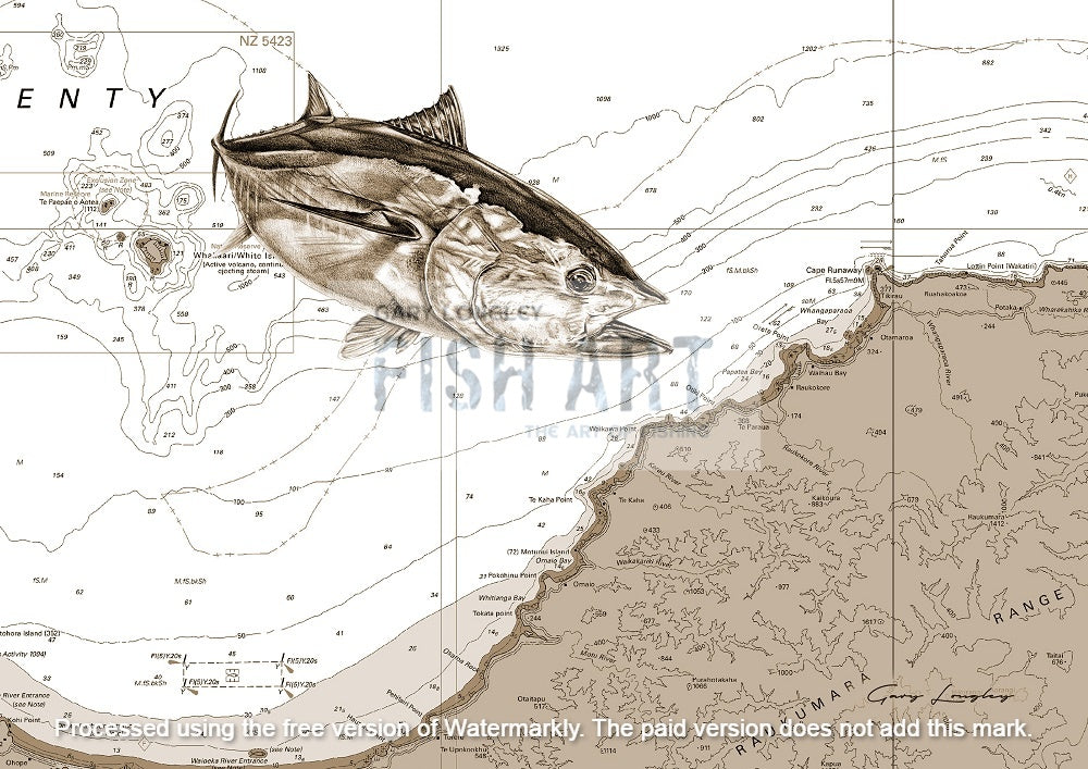 Ready Made Fish & Chart