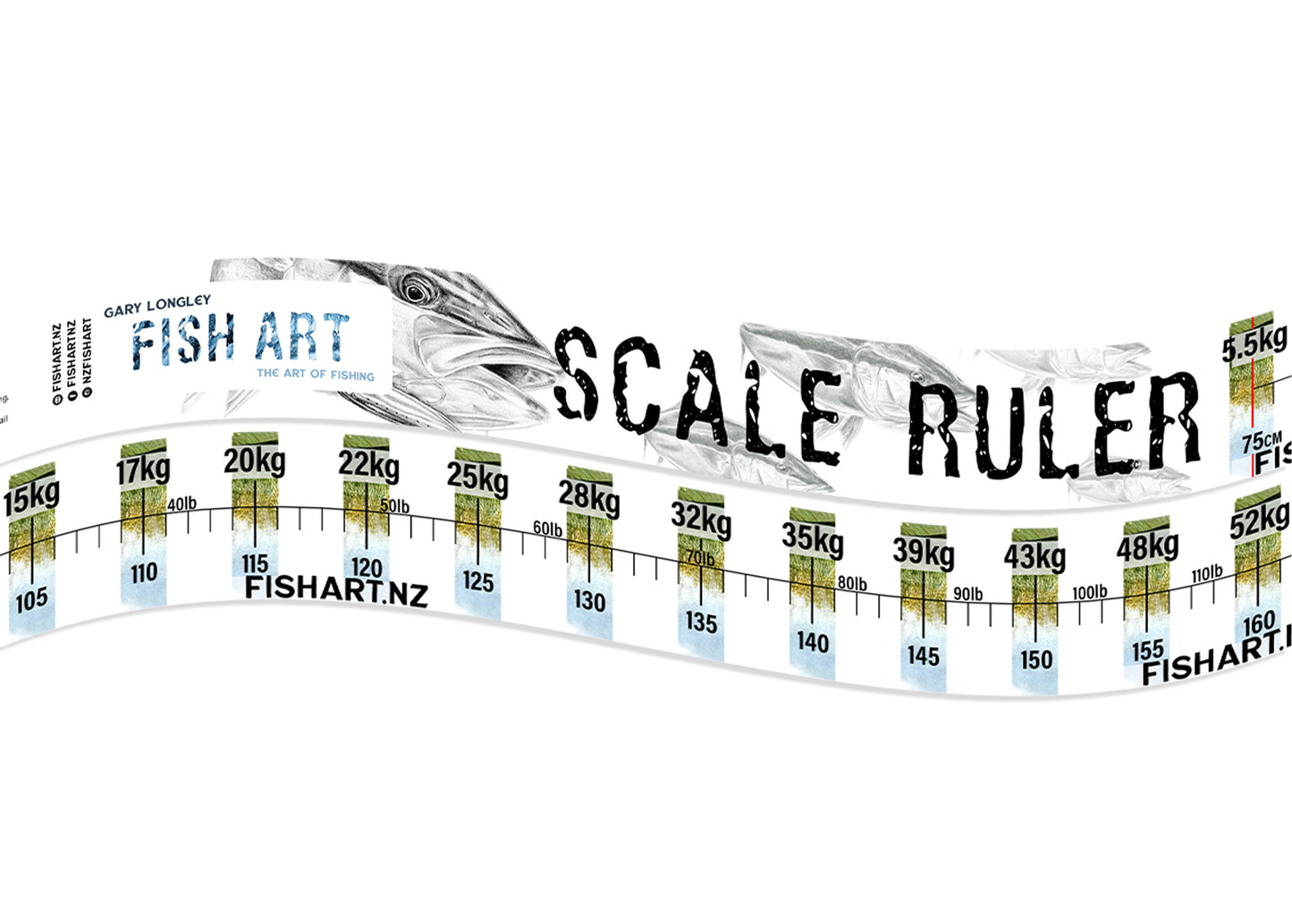 Scale Ruler - Kingfish