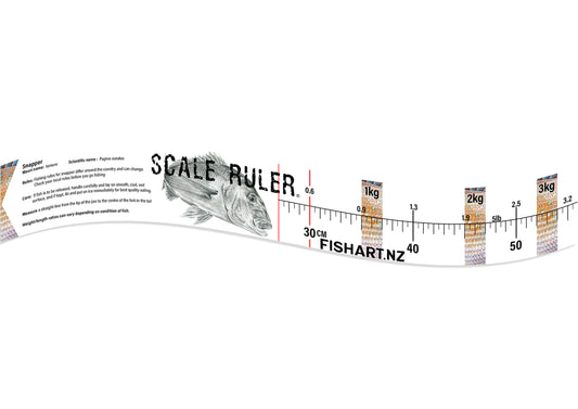 Scale Ruler - Snapper