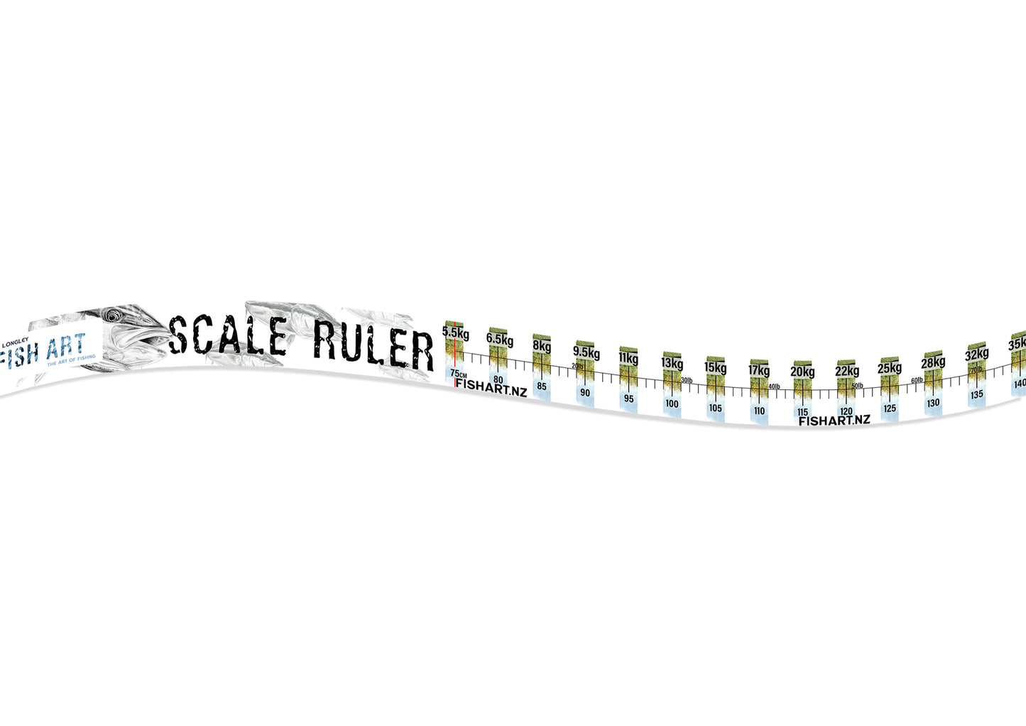 Scale Ruler - Kingfish