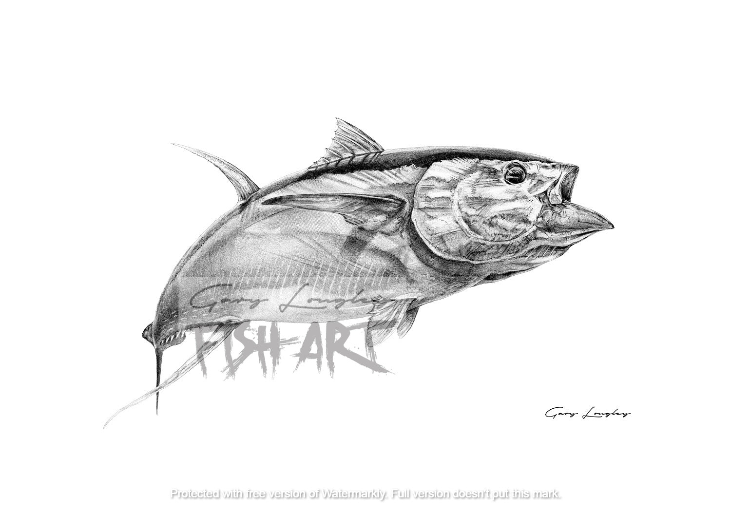 How To Draw A Cartoon Fish - Art For Kids Hub -